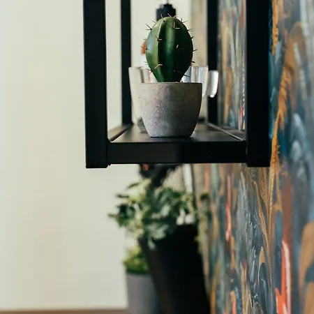 Loft Centro Magenta