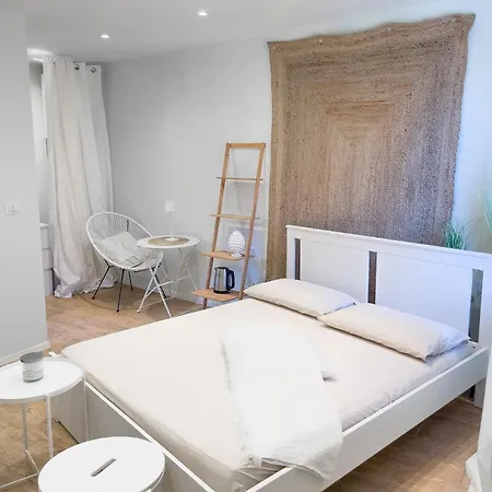 Loft Centro Magenta